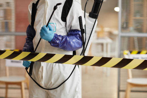 Professional Biohazard technician working in Thompsons, TX